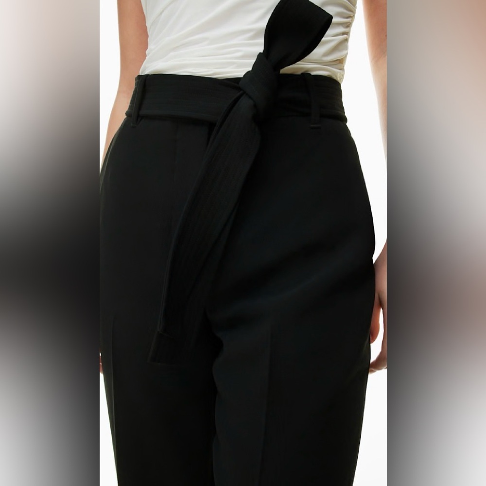Wilfred (Aritzia) $148 Tie-Front Ankle Pant in Comet Grey Size 6 w/ belt EUC - Picture 4 of 16